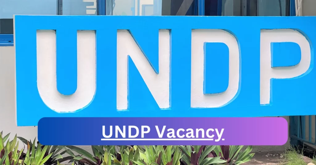 UNDP Vacancy