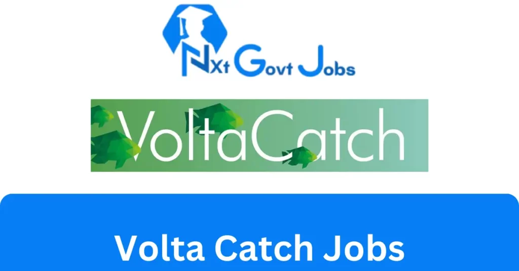 Volta Catch Jobs